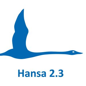 Hansa 2.3 1P class flag