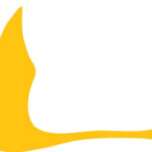 4241 - 303 boom complete. (new version)